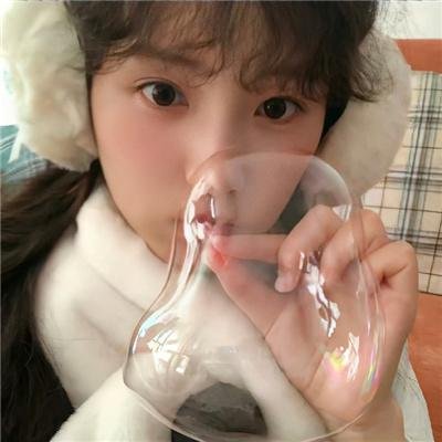 欧栗树封面